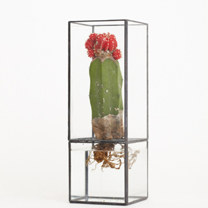 密買東京｜マッドな水耕栽培用容器｜商品詳細（Hydro - 1012|TERRA -）