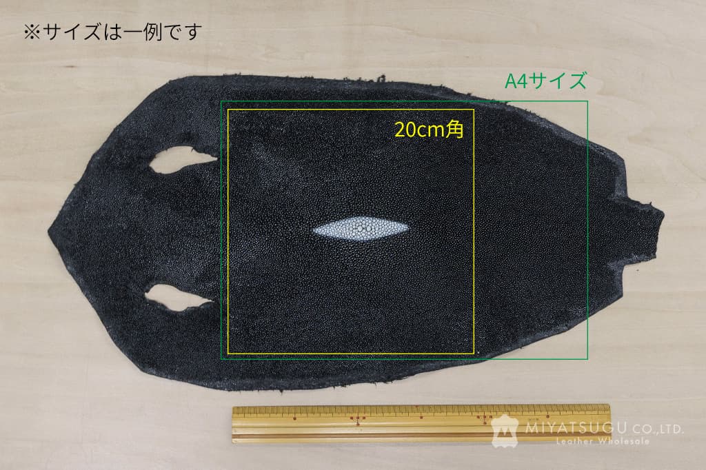 スティングレイ・銀付き（エイ革・9インチ）｜革販売ミヤツグ - 皮革