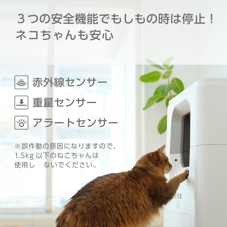 ジェックス PURE CAT AUTO TOILET（PCAT01-WH 猫用自動トイレ） 【送料