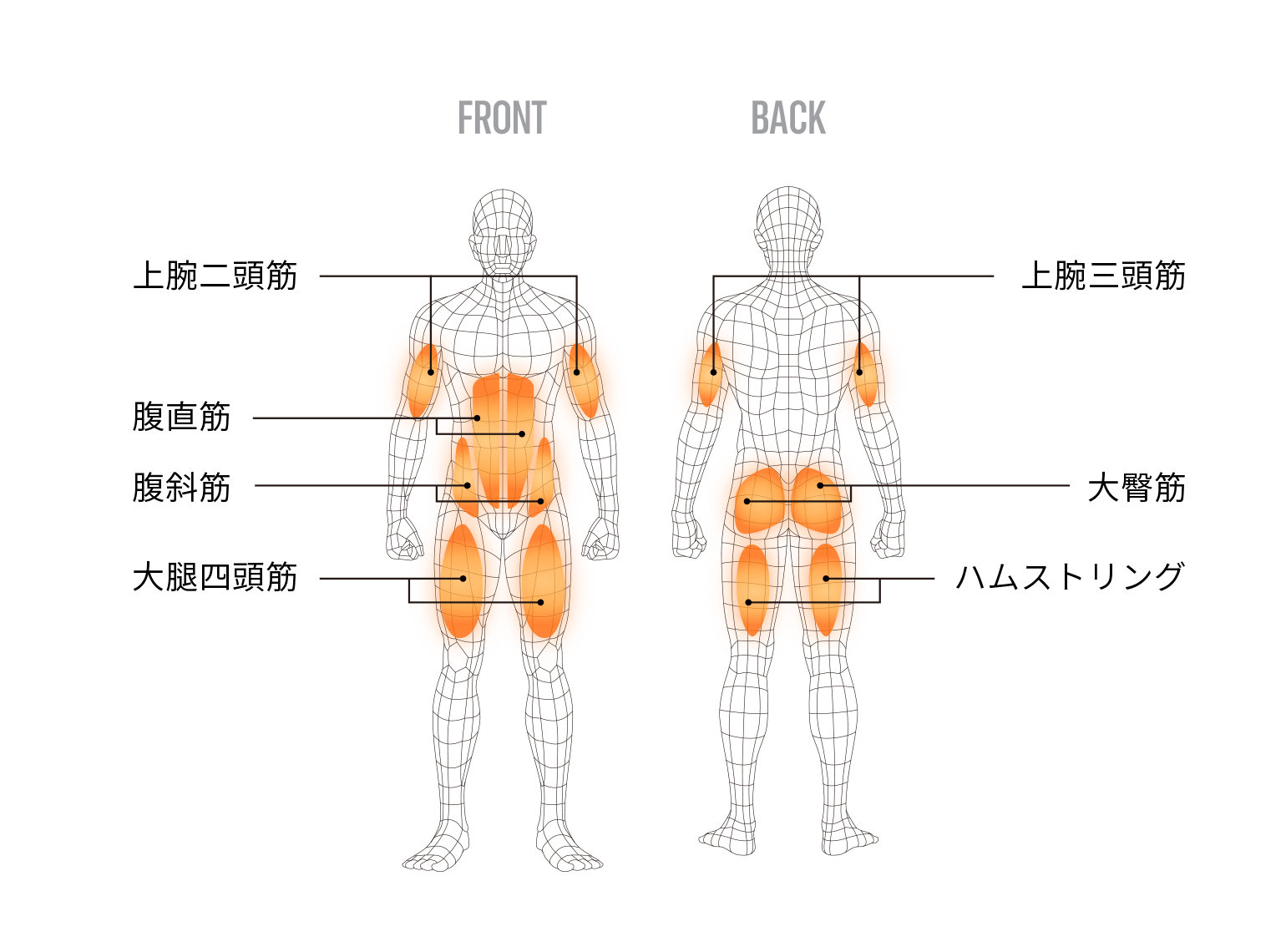 シックスパッド パワースーツ トップ＆ボトム(Power Suit Top＆Bottom