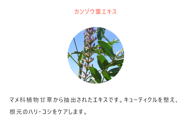 mukii】MUKII THE serum