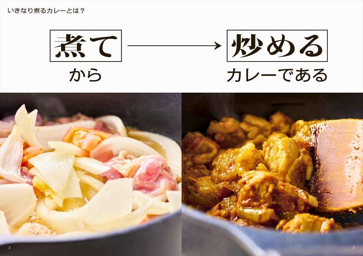 いきなり煮る！ 簡単スパイスカレー | ナツメ社