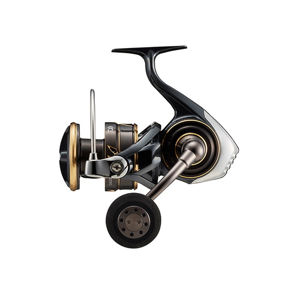 ダイワ(Daiwa) 22 CALDIA(カルディア) SW 8000-H 00065053｜アウトドア