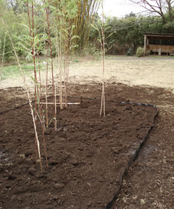RCF防根・防竹シート | 防草・植栽・防竹 | 防竹・防根シート | 植生