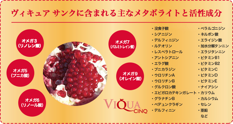 ヴィブラン ローション プリュス＜輝く透明感・うるおい化粧水