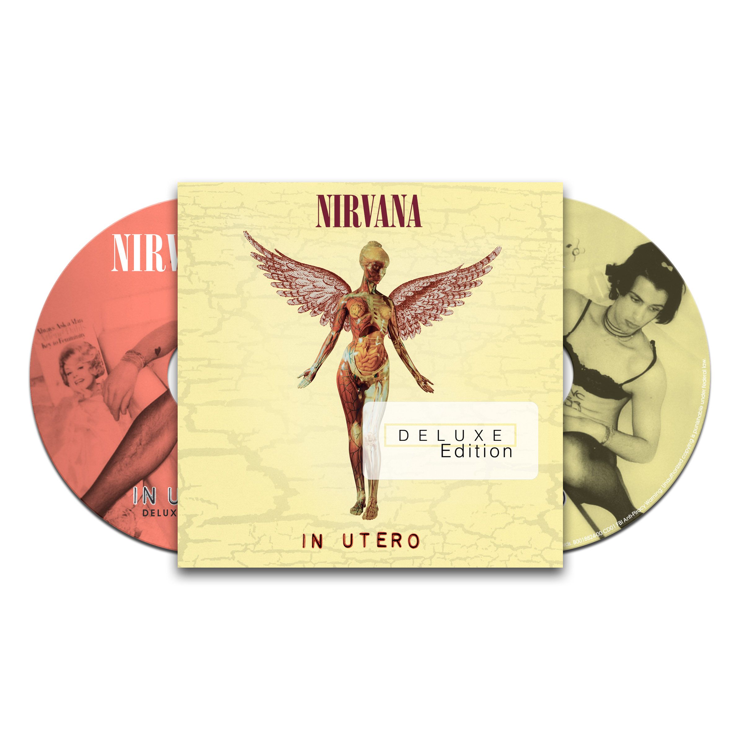 In Utero (20th Anniversary Edition) - Nirvana