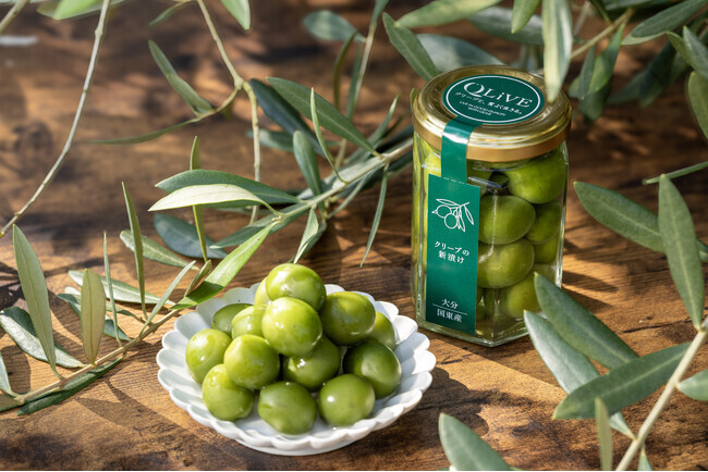 国東の秋の味覚「新漬けオリーブ」10月7日発売開始！収穫適期を見極め