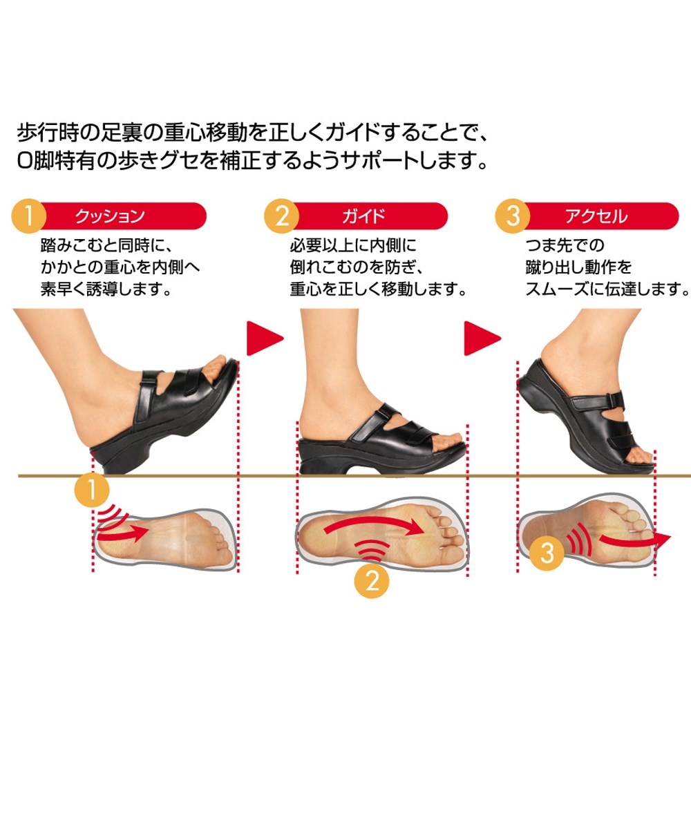 AKAISHI アーチフィッター406 O脚バックベルト 通販【ニッセン】