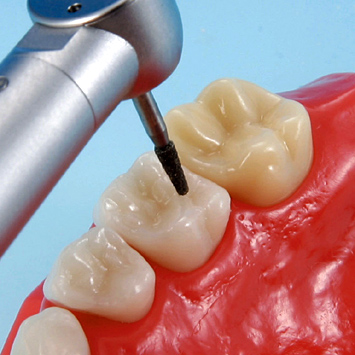 小児歯科実習用顎模型 [D7D-407H](D咬合器つき)｜株式会社ニッシン