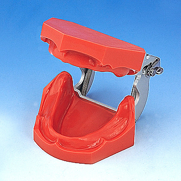 1色レジン製無歯顎模型 [G1FE-402](FE咬合器つき)｜株式会社ニッシン