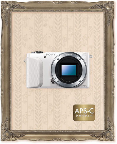 美しさにこだわるなら、ソニーのAPS-Cクオリティー | デジタル一眼