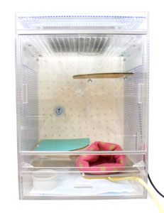 高級アクリルケージ・おすすめレイアウト