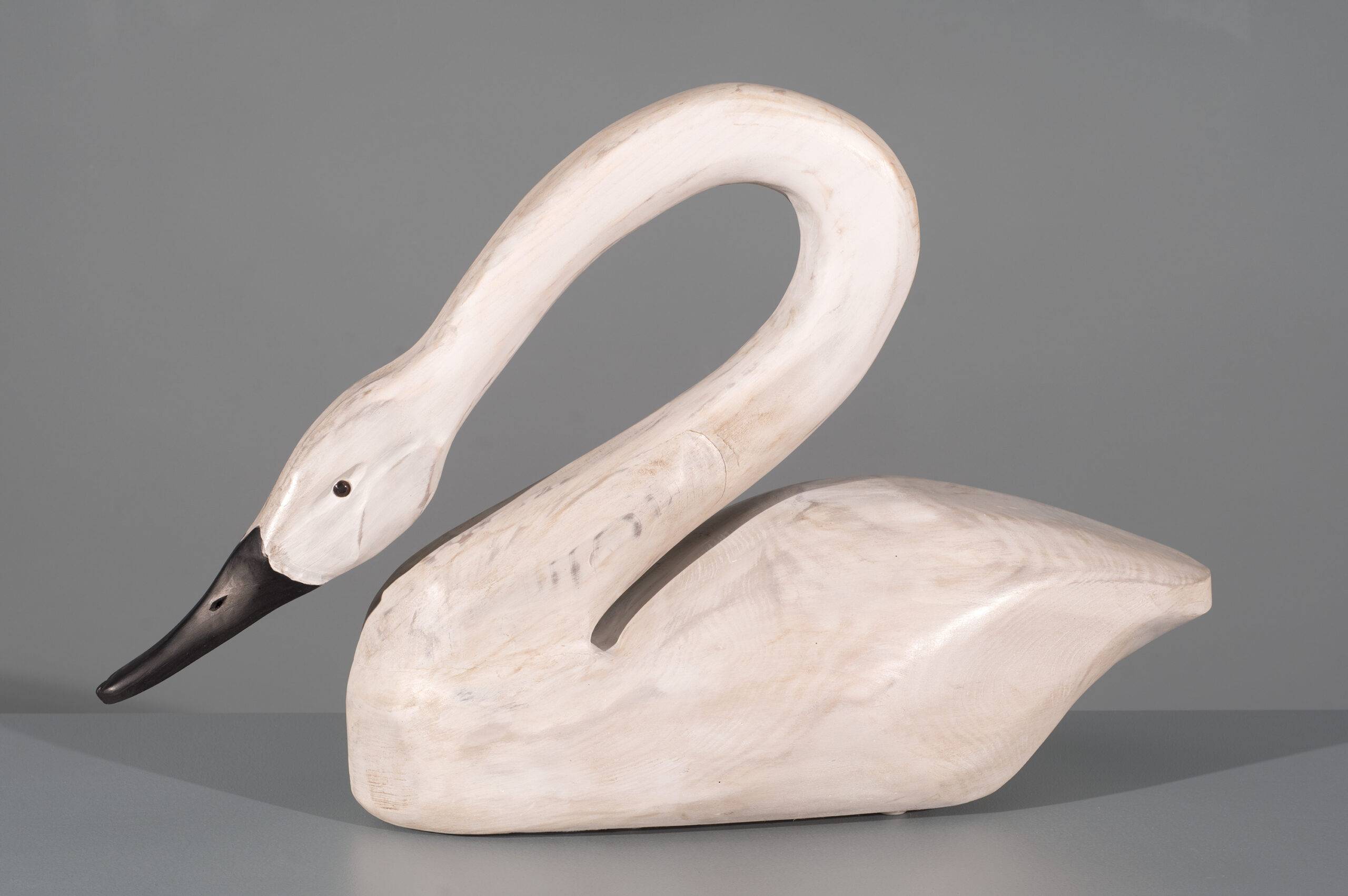 Swan II - Shop the Southeastern Wildlife Exposition