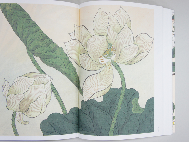 四季の花 上巻｜青幻舎 SEIGENSHA Art Publishing, Inc.