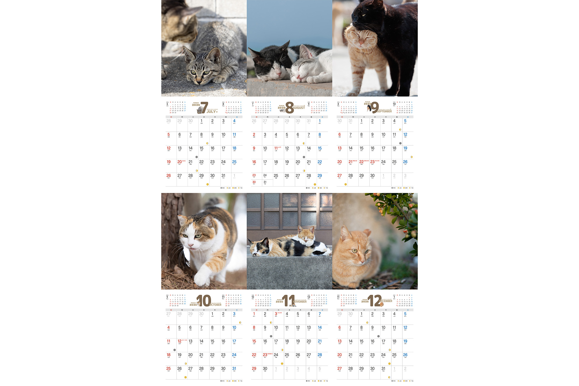 気まま猫カレンダー2026｜青幻舎 SEIGENSHA Art Publishing, Inc.