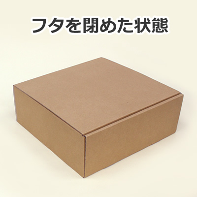 ケースN式 茶 260×260×100:化粧箱net【紙箱/小箱/ギフト箱】