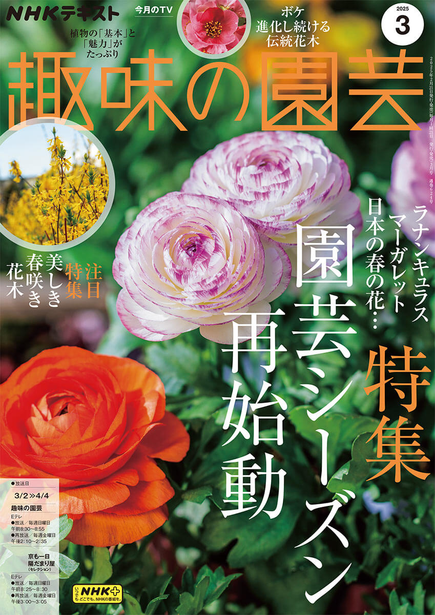 趣味の園芸』2025年3月号の紹介～園芸シーズン再始動〈ラナンキュラス