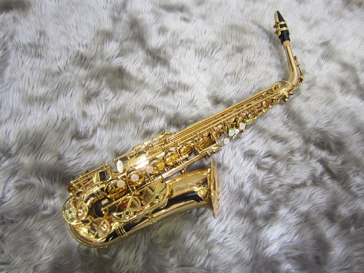 Festi Tiara A】アルトサックス新製品入荷しました！｜島村楽器 イオン