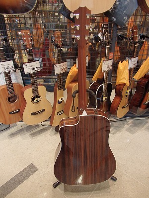 アコースティックギター】Taylor「210ce-DLX ES2」/「516ce ES2」限定