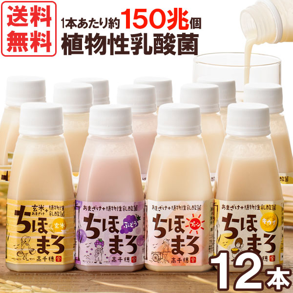 あまざけ＋乳酸菌『ちほまろ』4種セット（プレーン・玄米・ぶどう