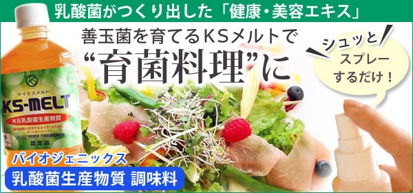 ビワ葉温灸療法 太棒もぐさ温灸セット【三栄商会】