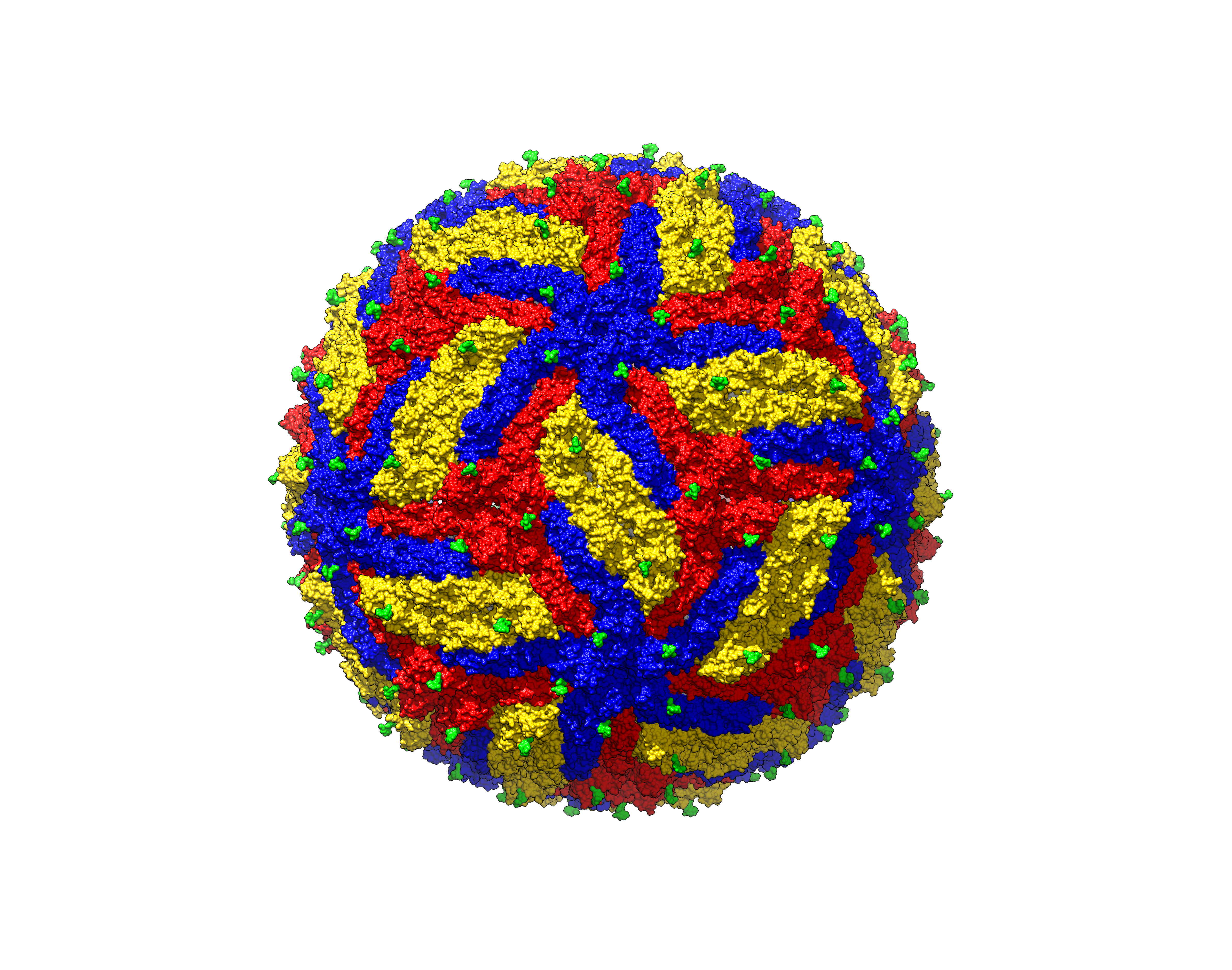 Researchers reveal the sharpest image to date of the Zika virus