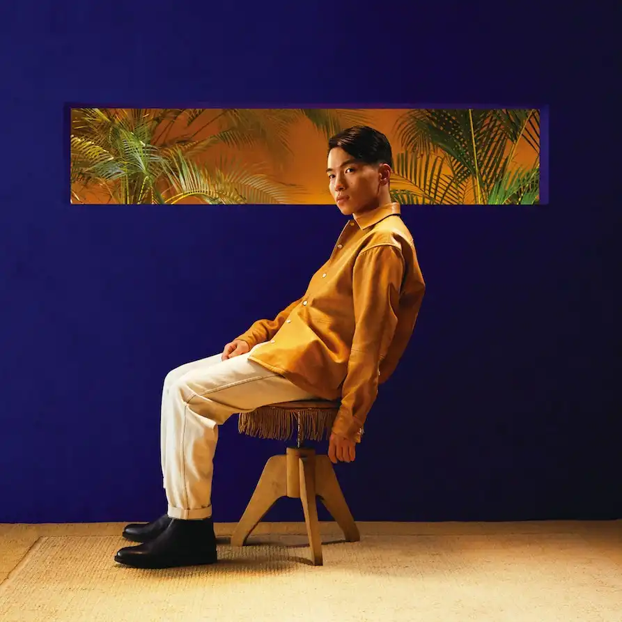 SIRUP / FEEL GOOD [2LP - TYOLP1019_20]：JAPANESE：アナログレコード