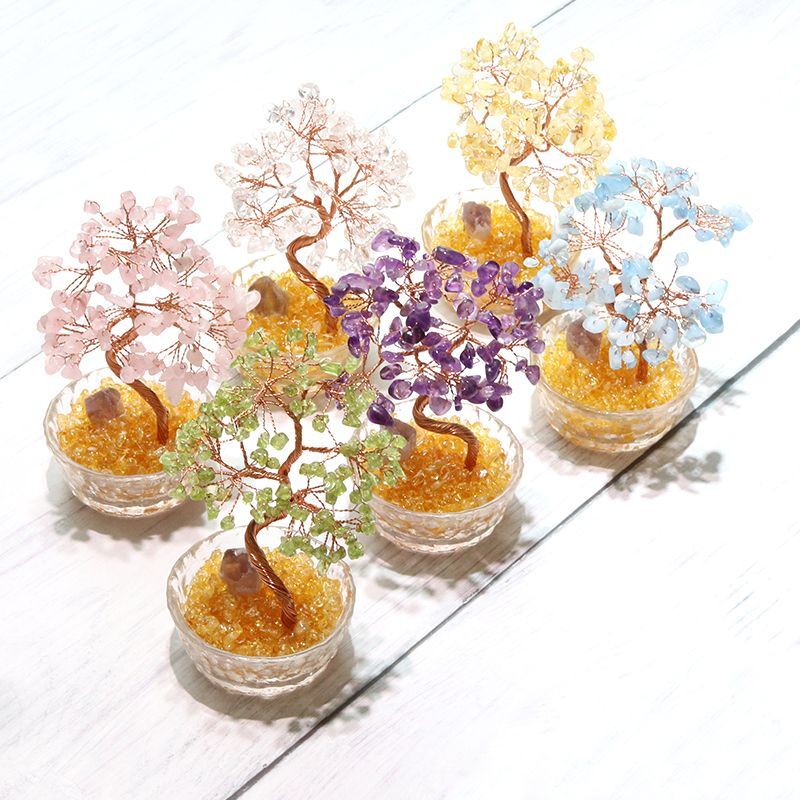 招財樹 植木 アメジスト 金のなる木 風水 財運 健康運 仕事運 縁起物