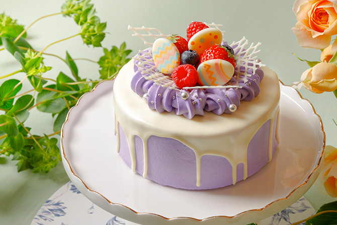 限定価格stringting ストリングティング BIRTHDAYCAKE 限定価格