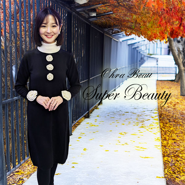 スーパービューティ】新品タグ付き定価22,000円ビジューニット