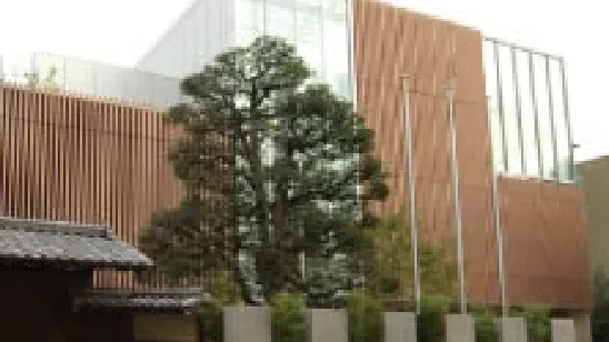 冬虫夏草生態図鑑 採集・観察・分類・同定、効能から歴史まで240種類