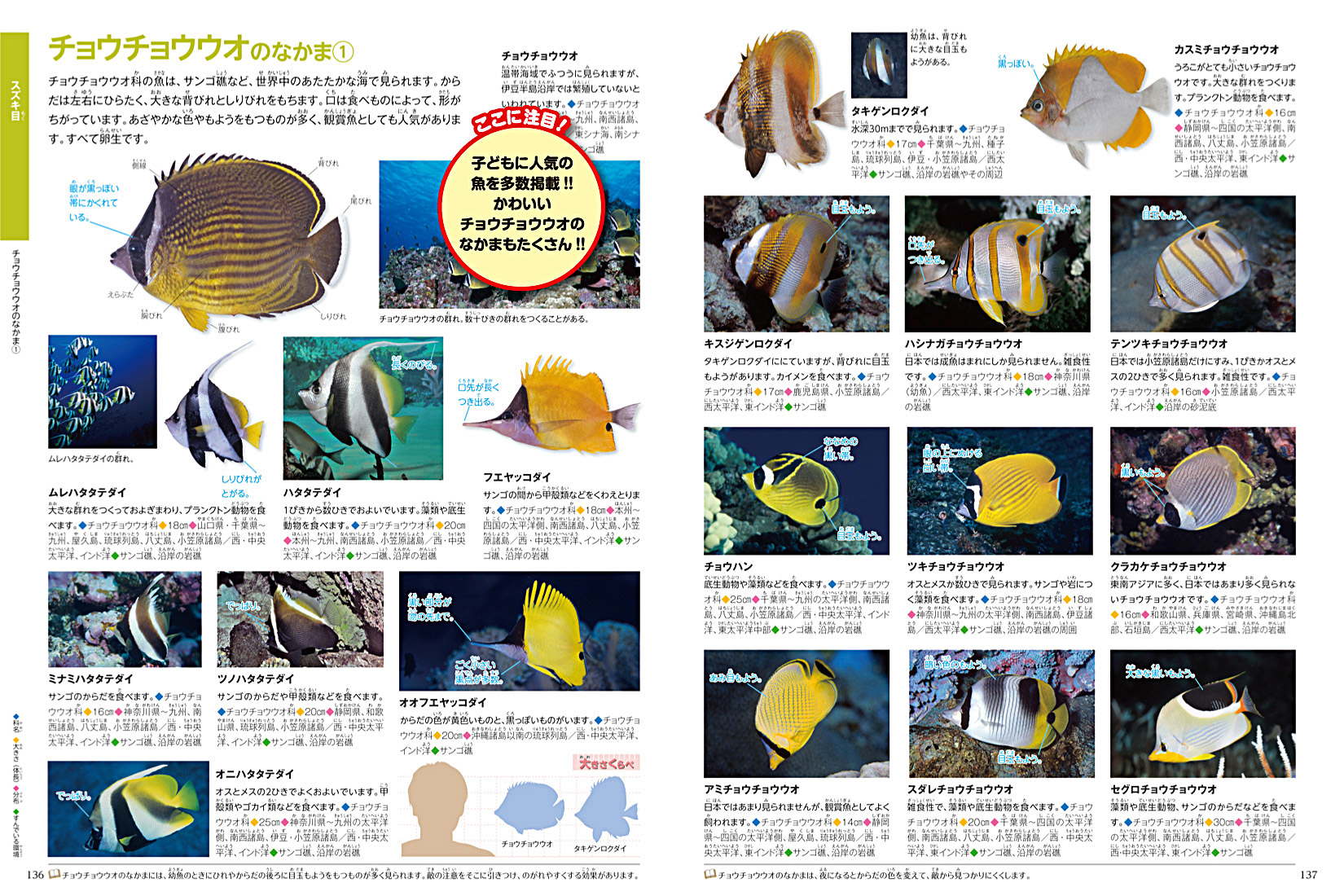 魚 | ポプラディア大図鑑「WONDA」