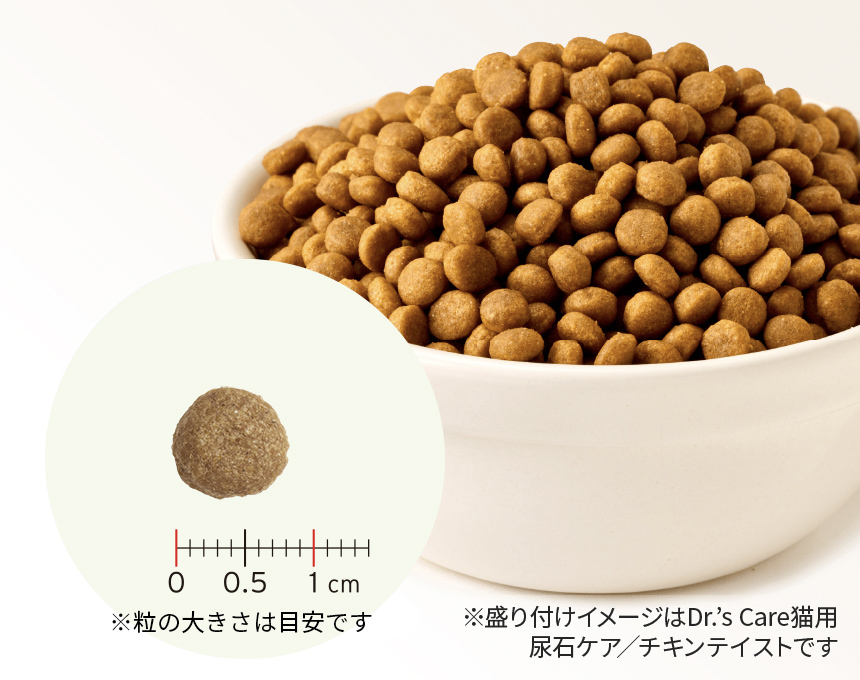 避妊・去勢｜Dr.'s（ドクターズ）| ペットライン