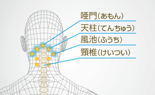 星のやすらぎ療法士指圧ピロー スタンダード70・100｜商品情報（枕