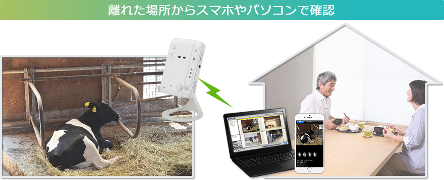 カメラ一発！｜CS-W60HD｜PLANEX