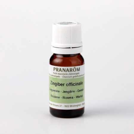 ジンジャー – プラナロム エッセンシャルオイル・精油｜健草医学舎