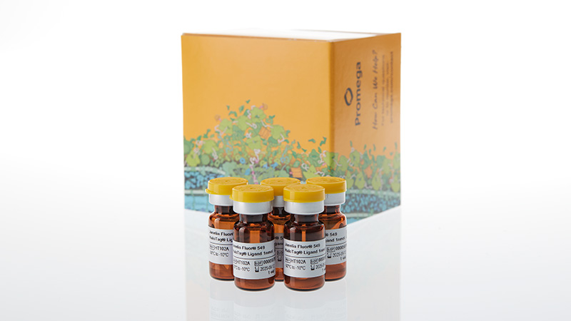 Janelia Fluor® HaloTag® Ligands | Janelia Fluor Dyes | Cell Imaging