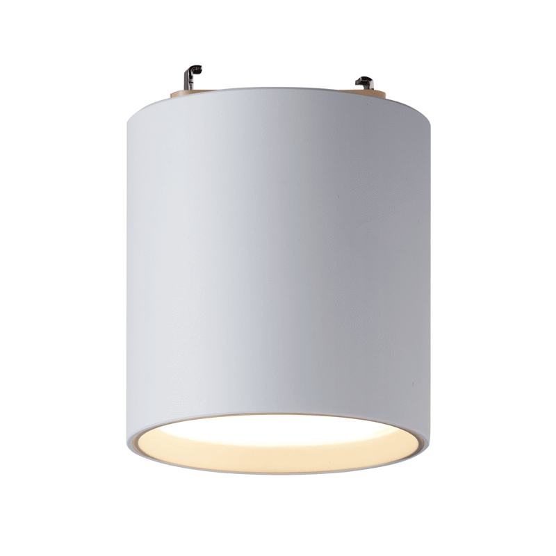 シーリングダウンライト 100W相当 ホワイト | LT-OT009-01-G141