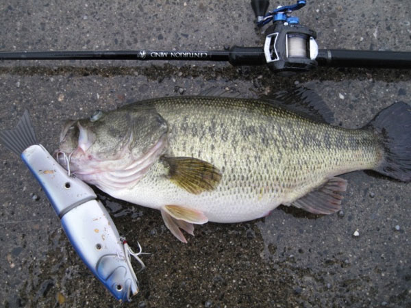 ロマンメイド マザー レインボー おまけ付き MOTHER - RomanMade