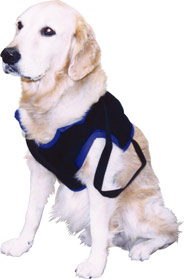 歩行補助ハーネス（介護用）