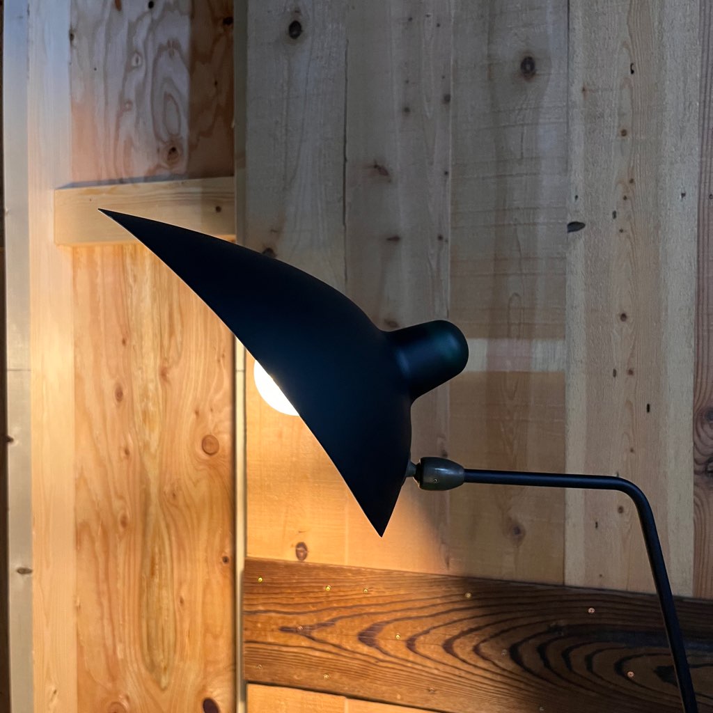 イデー ランパデール アン ルミエール LAMPADAIRE 1 LUMIERE Serge