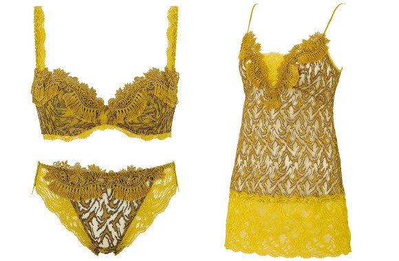 神々しい色で、賭けに出る ｜ 上流下着のつどい ワコール