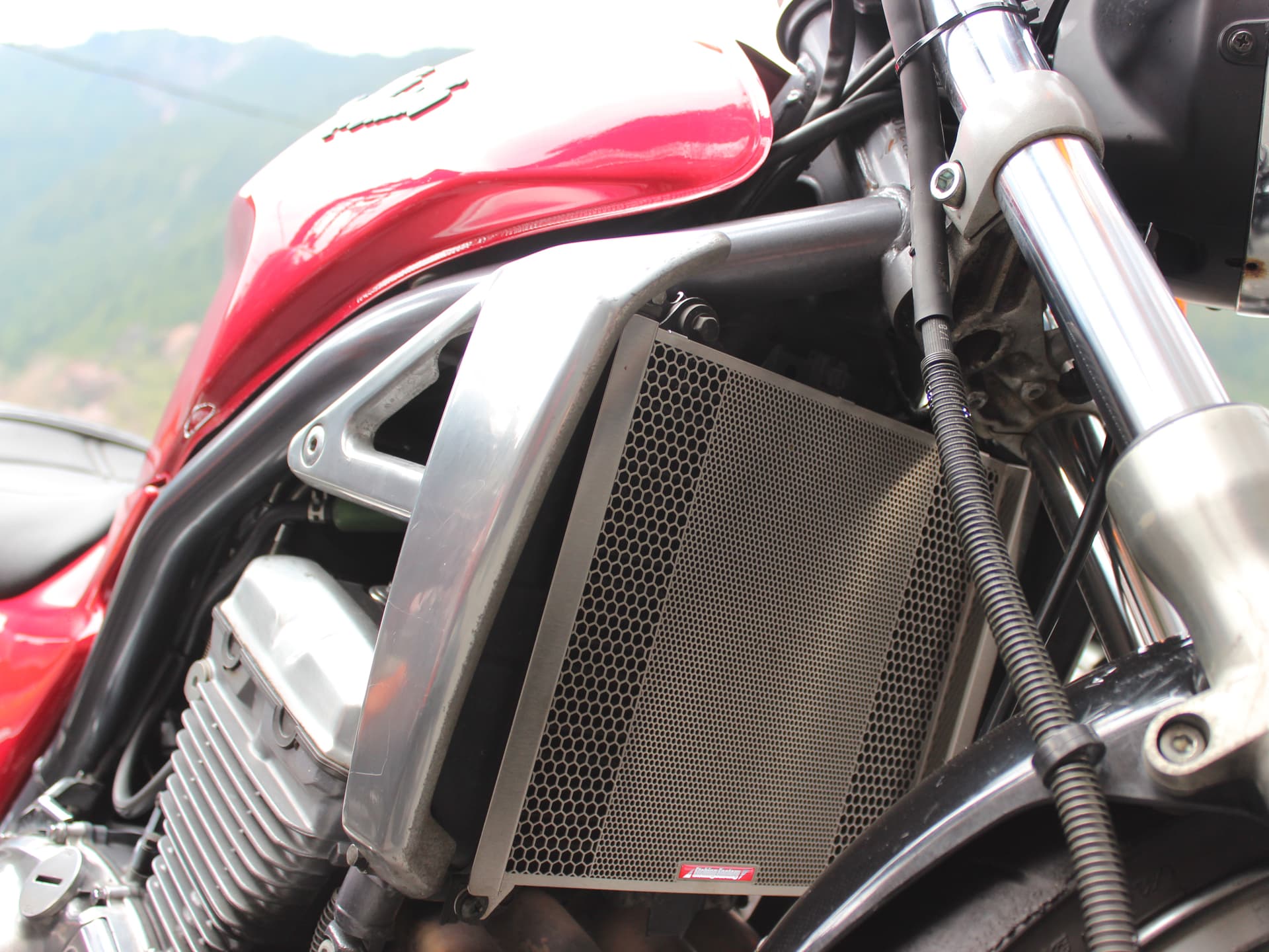 BALIUS250(91～07)用ラジエターコアガード