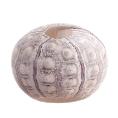 Unimaru ウニマル（バクダンウニ）/ Usagi no Nedoko ウサギノネドコ