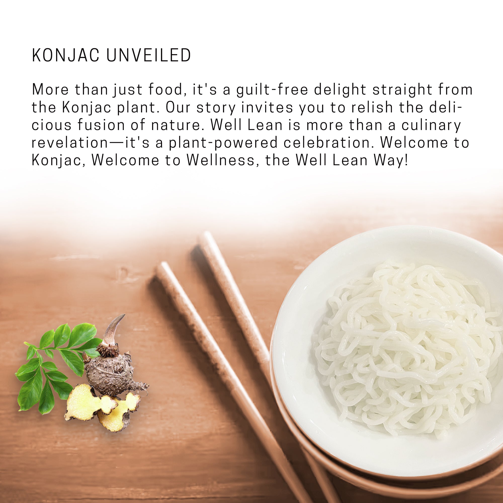 Organic Konjac Shirataki Noodles - Keto Friendly, Low Carb - Well Lean