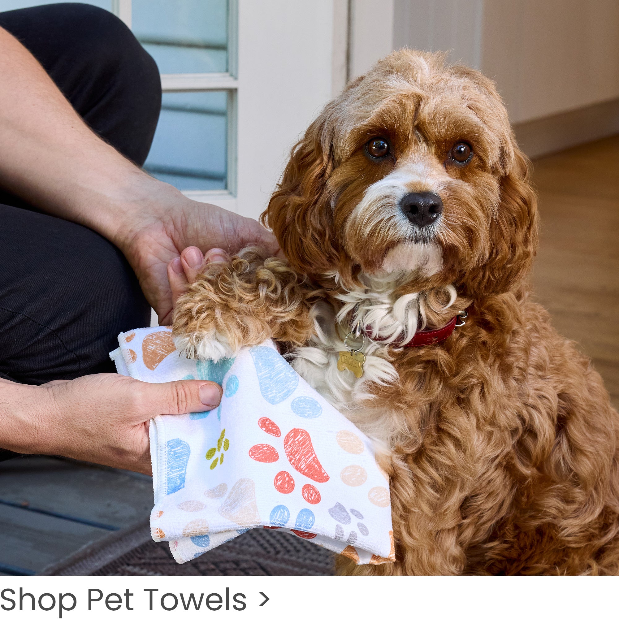 Poodle Martini Lounge 1000 Piece Puzzle | WerkShoppe