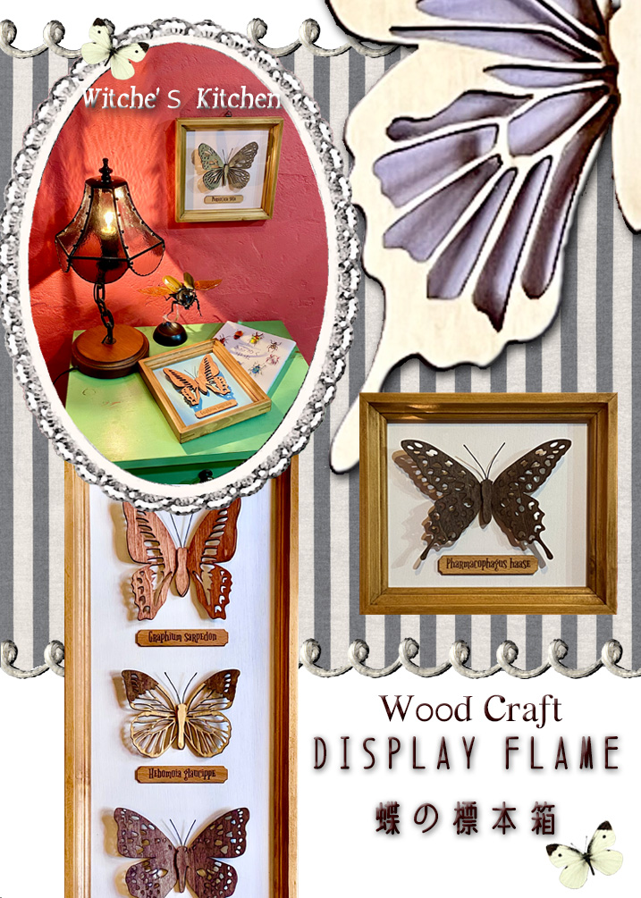 週末セール 蝶の標本 多種類 フレーム付き 【公式通販】
