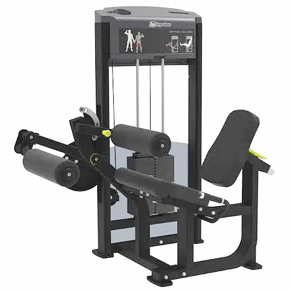 レッグエクステンション/レッグカール | 大腿四頭筋とハムストリングを