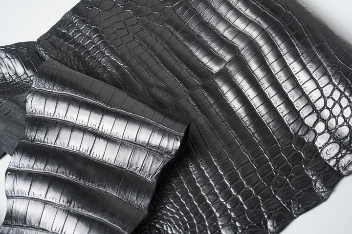 特別なクロコダイルNORMA(S)の受注会についてのお話 | WILDSWANS