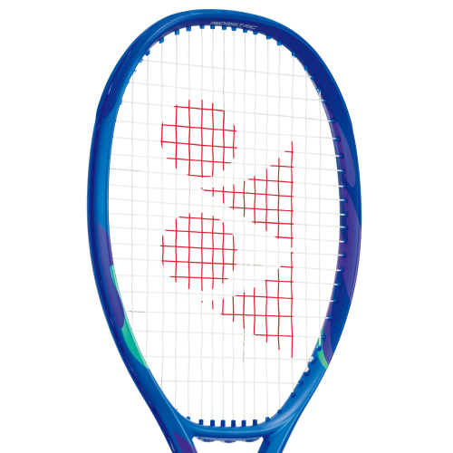 ウインザーオンラインショップヨネックス Eゾーン 100 ツアー （YONEX